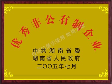 优秀非公有制企业（2005年）